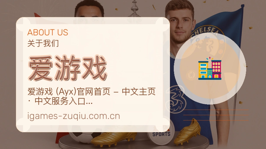 爱游戏综合服务介绍